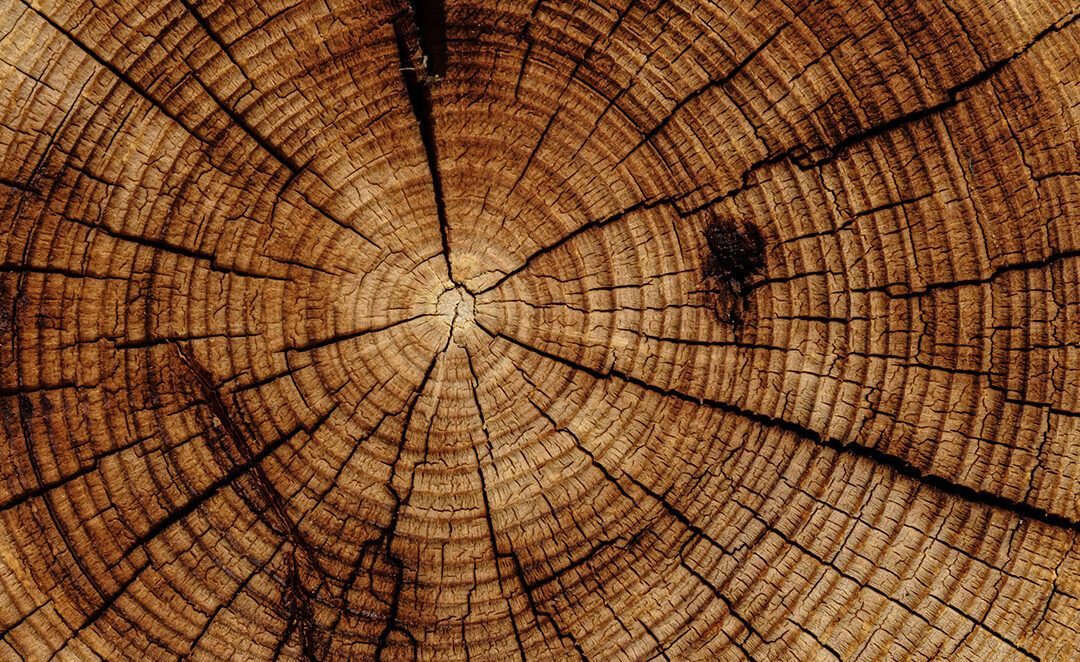Quelle essence de bois ?